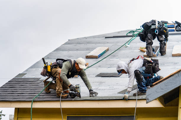 Professional Gutter Installation technician working in Brazoria, TX
